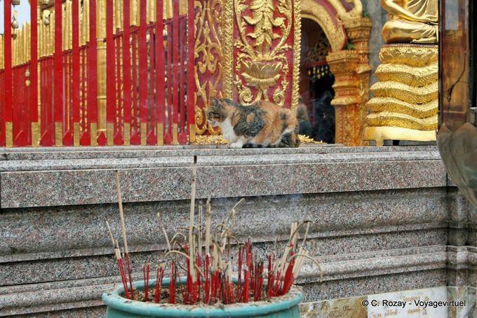 Chat and incense, Wat Doi Suthep, Chiang Mai - Thailand
