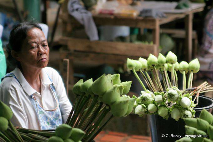 Lotus, preparation of offerings, Wat Doi Suthep, Chiang Mai - Thailand