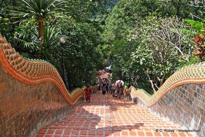 Red Carpet, Wat Doi Suthep, Chiang Mai - Thailand