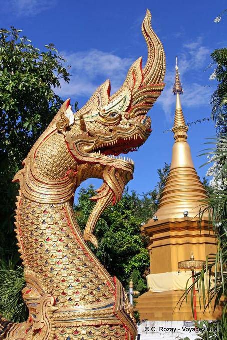 Naga head, Wat Doi Suthep, Chiang Mai - Thailand
