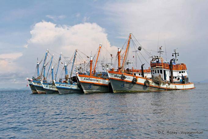 An armada of trawlers, Koh Phi Phi - Thailand
