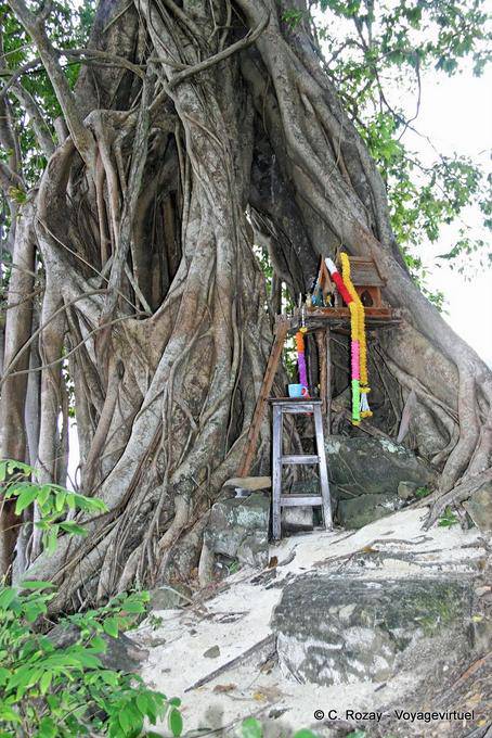 Altar in the roots, Koh Phi Phi - Thailand