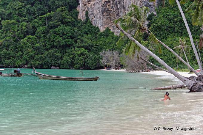 Swimming under the coconut trees, Koh Phi Phi - Thailand