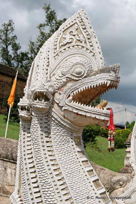 Head white naga, Lampang - Thailand