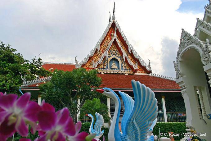 Temple swans, Phitsanulok - Thailand