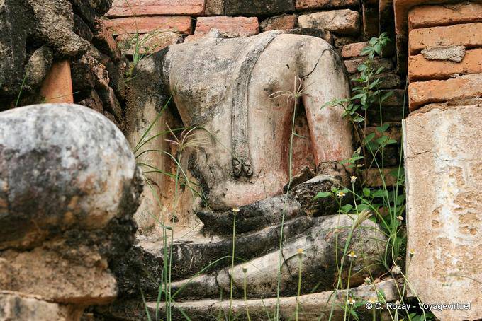 Head torn, Sukhothai, Wat Mahathat - Thailand