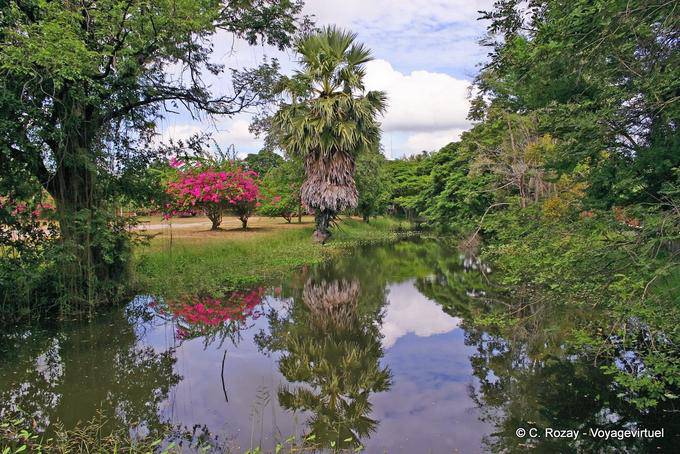 Nature in Historical Park, Sukhothai, Wat Phra Pai Luang - Thailand