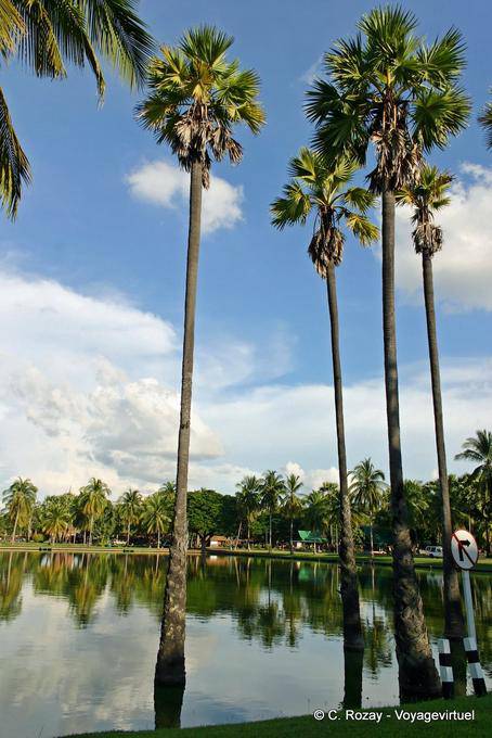 Pond and palm trees, Sukhothai, Wat Trapang Ngoen - Thailand