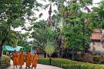 The monks and shaft traveler, Wat Yai Chai Mongkol, Ayutthaya, Thailand.