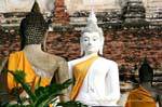 Face-to-face Buddhist, Wat Yai Chai Mongkol, Ayutthaya, Thailand.