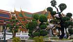 Topiary, Wat Pho (Wat Phra Chettuphon), Bangkok, Thailand.