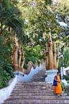 Stairs to the Nagas Phrathat Doi Suthep, Chiang Mai Temple, Thailand.