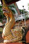 The crocodile eating naga, Northwest Chiang Mai, Thailand.