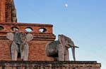 Elephants and moon, Wat Chedi Luang, Chiang Mai, Thailand.