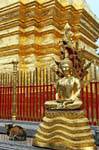 Buddha Dhyana Mudra-Wat Doi Suthep, Chiang Mai, Thailand.