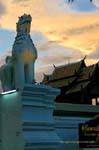 The Keeper of the entrance, Wat Phra Singh, Chiang Mai, Thailand.