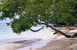 A hammock on Sea, Koh Phi Phi, Thailand.