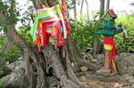 Devotion in the forest, Koh Phi Phi, Thailand.