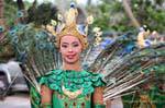 Peacock feathers, Festival Patong, Phuket, Thailand.