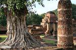 With a tortured tree trunk, Sukhothai, Wat Mahathat, Thailand.