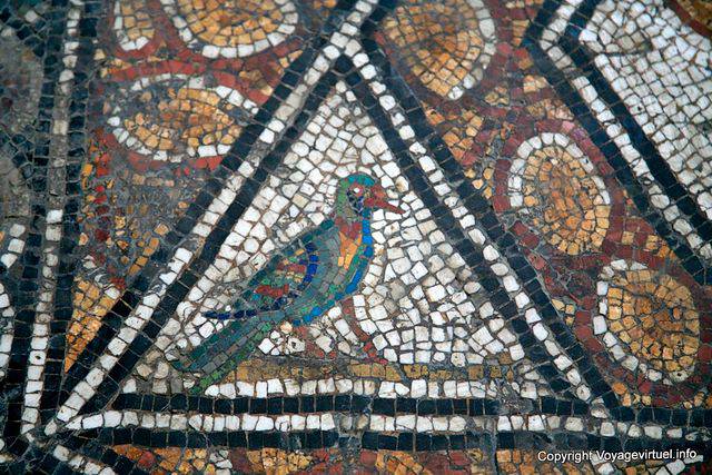 Bardo Museum, colorful bird, mosaic fragment - Tunisia