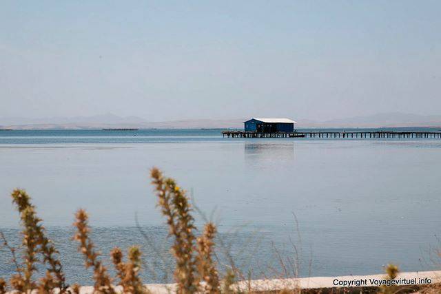Bizerte Ichkeul park - Tunisia