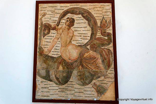 National Museum of Carthage, mosaic dolphins - Tunisia