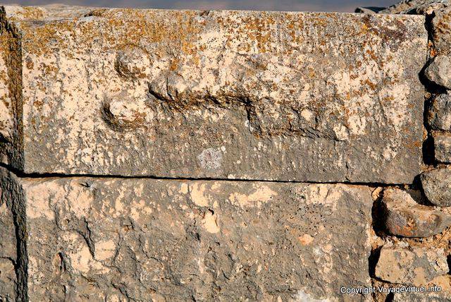 Dougga, embossed indicating a brothel - Tunisia