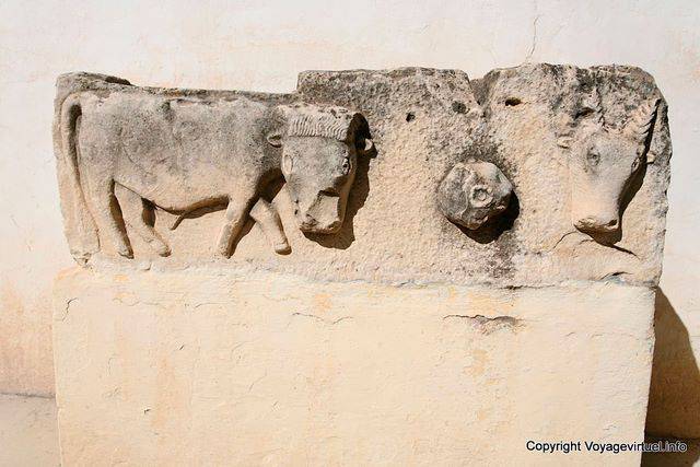 Makthar (مكثر), animal sculpture, cattle - Tunisia