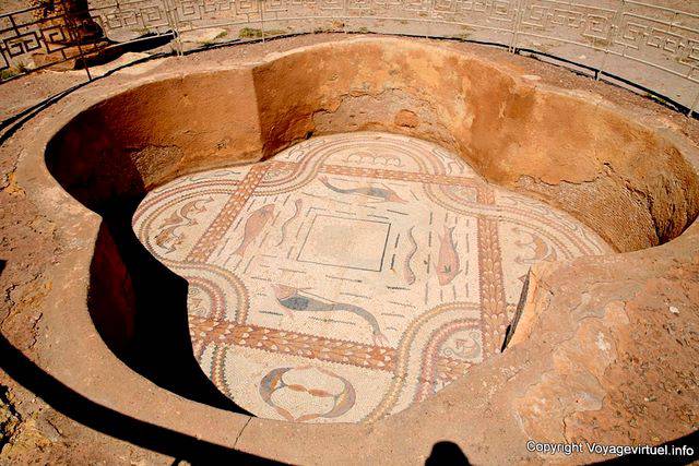 Sbeïtla, Bath with Dolphins, mosaic - Tunisia
