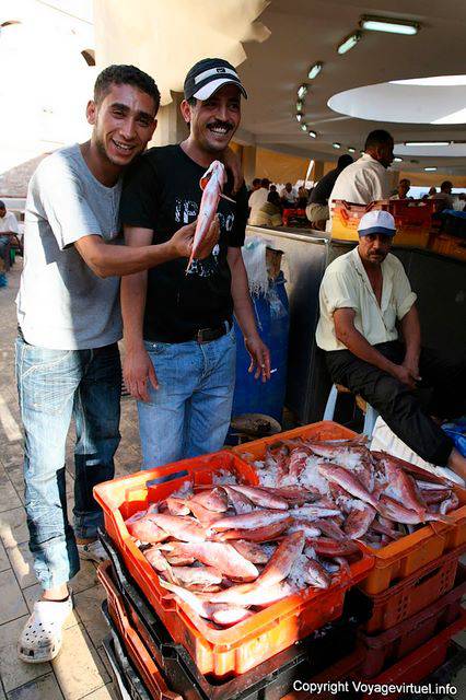 Sfax, the market, they are beautiful my fish - Tunisia