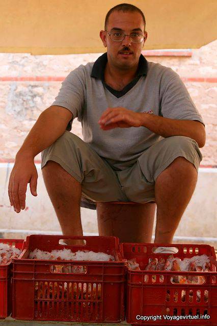 Sfax, fish vendor - Tunisia