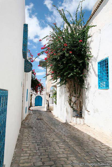 Sidi Bou Said, small street pavement - Tunisia