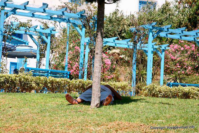 Sidi Bou Said, Nap on grass - Tunisia