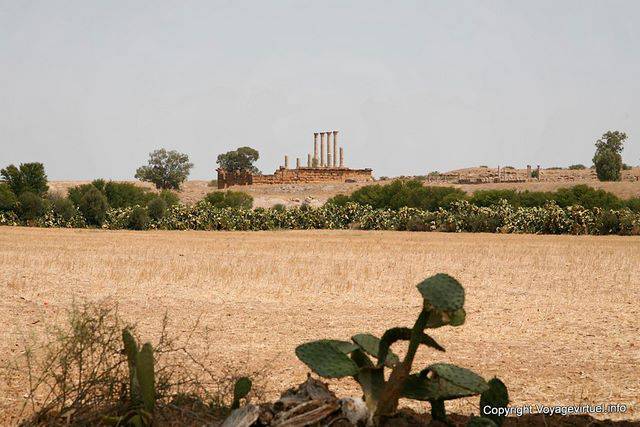 Thuburbo Majus, country panorama - Tunisia