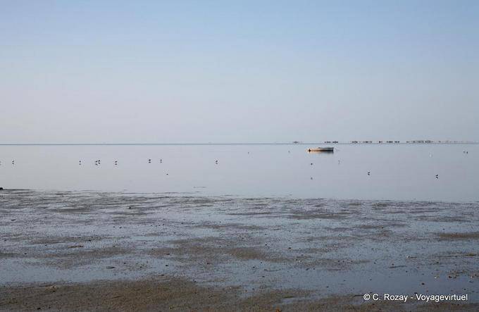 Peaceful strike, Djerba - Tunisia