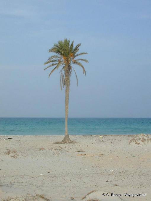 Palm Djerba, beach el Hachen - Tunisia