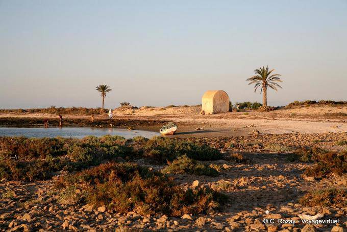 The west coast of Djerba - Tunisia