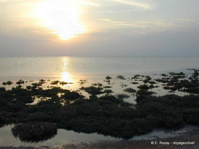 Djerba light of the setting on the coast - Tunisia