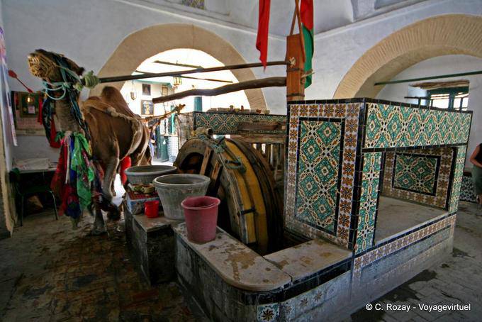 Bir Barrouta, wooden waterwheel driven by a camel, Kairouan - Tunisia