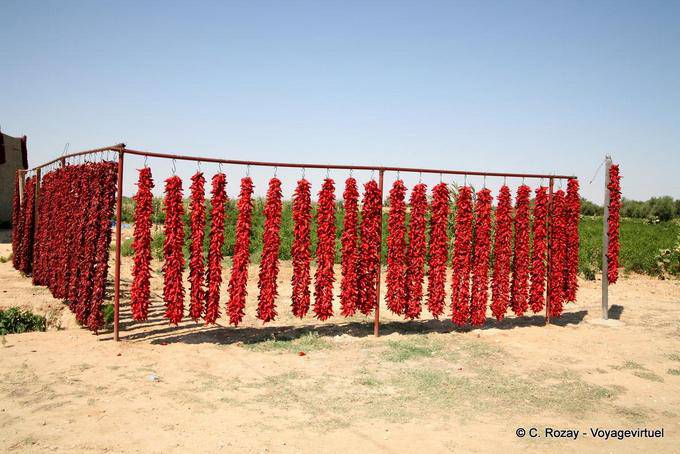 Dried red peppers - Tunisia