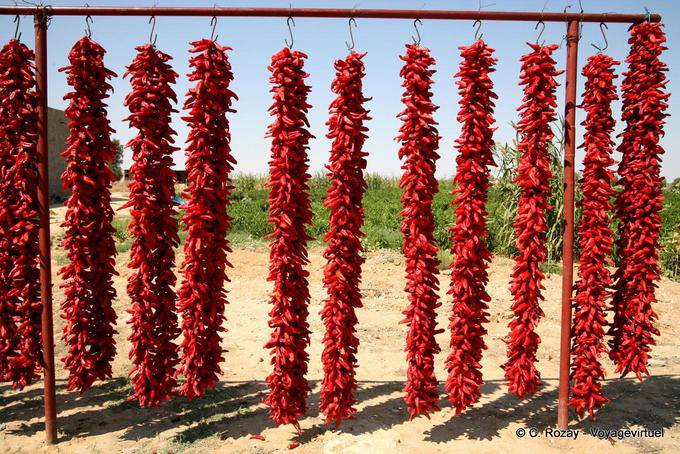 Close up of red peppers hanging - Tunisia