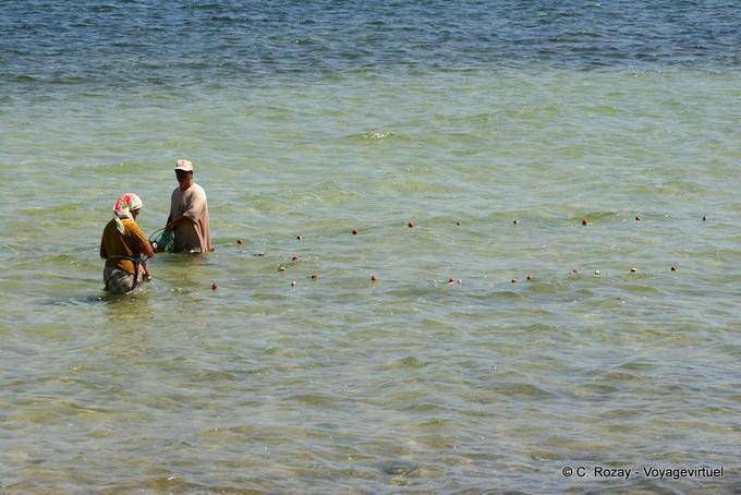 Kerkennah Island, angling - Tunisia