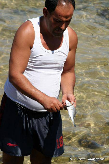 Freshly caught fish cleaning Kerkennah Island - Tunisia