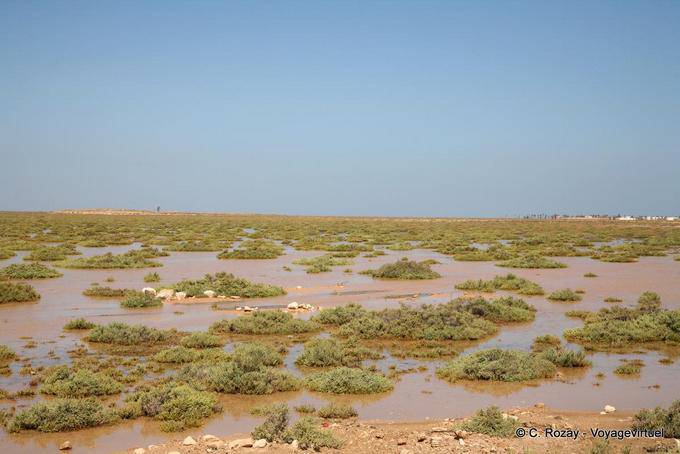 Submersible landscape of the archipelago, between Chergui and Kraten, Kerkennah - Tunisia