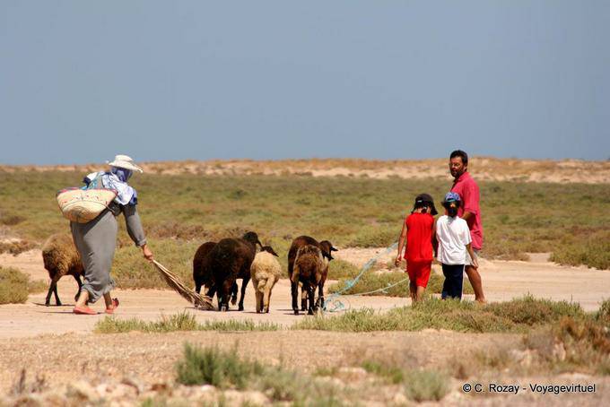 Family with his flock of sheep, Chergui, Kerkennah - Tunisia