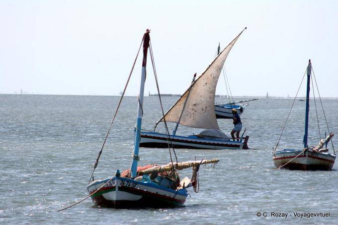 Back from fishing, el Attaya, Kerkennah - Tunisia