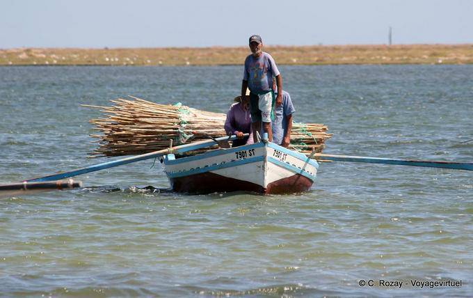 Fisherman daily El Attaya, Kerkennah Islands - Tunisia