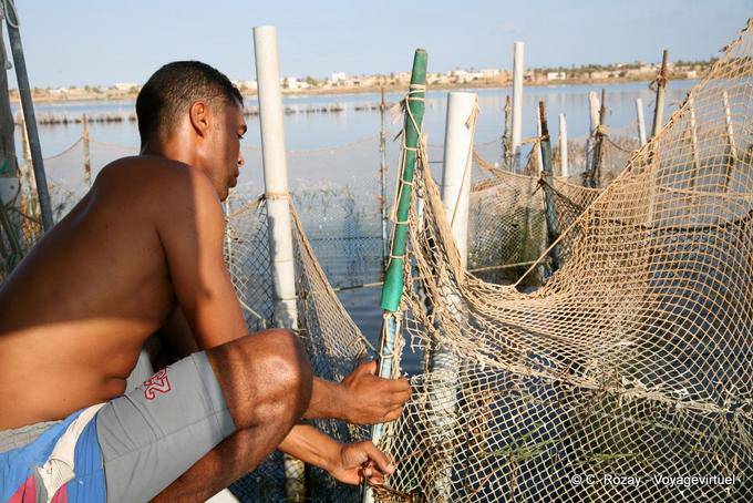 Opening nets, Ouled Kacem, Kerkennah - Tunisia