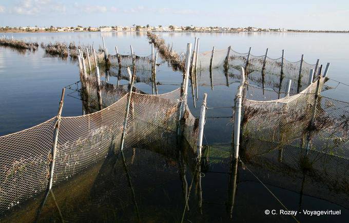 Architecture fish trap of charfia, Ouled Kacem, Kerkennah - Tunisia